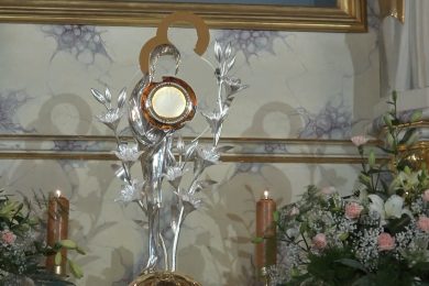 The Star on the Mantle of Our Lady in Krosno